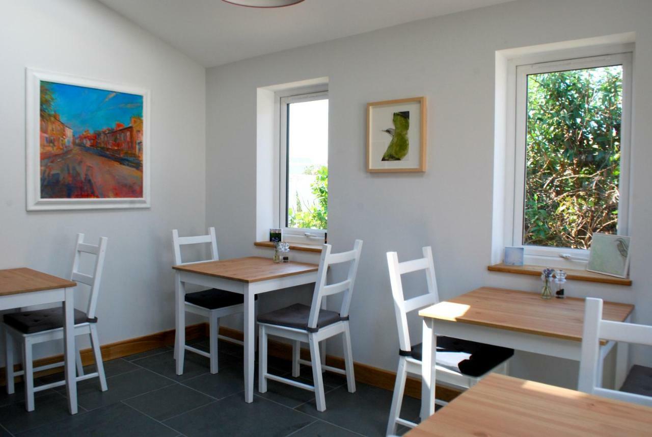 סנט דייוידס Ty Boia Bed & Breakfast מראה חיצוני תמונה